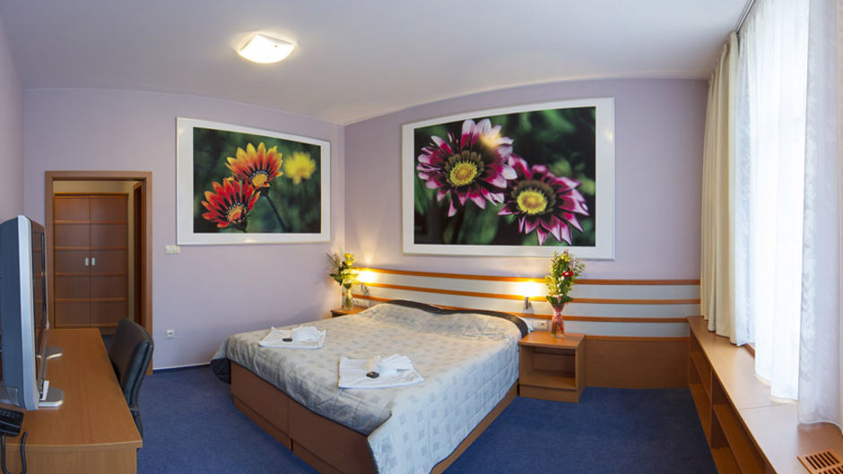 Hotel Air Room