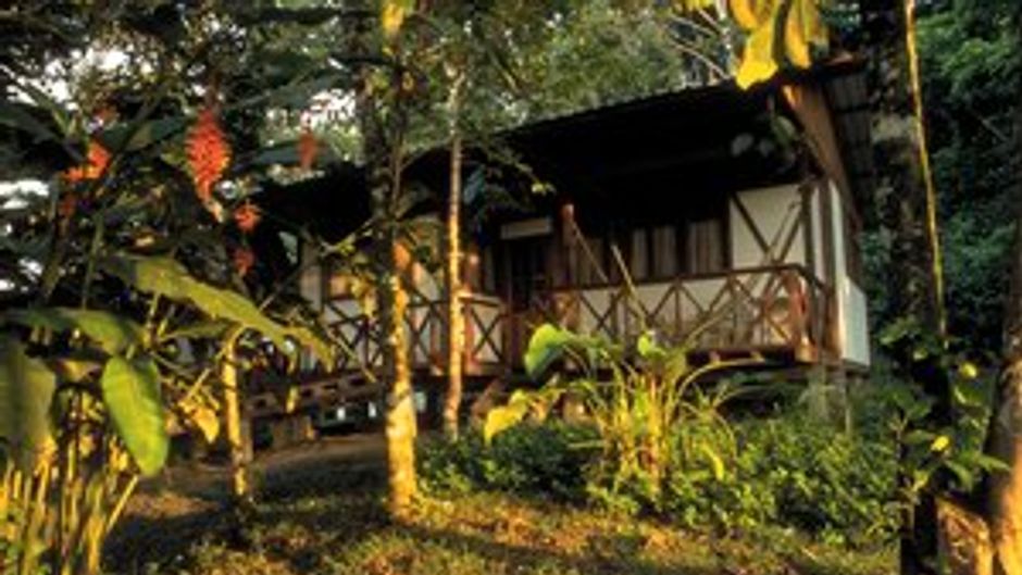 Yachana Lodge Room