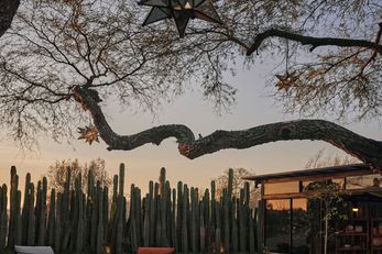 Our Habitas San Miguel de Allende
