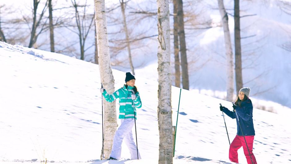 Rusutsu Resort Hotel & Convention Recreation