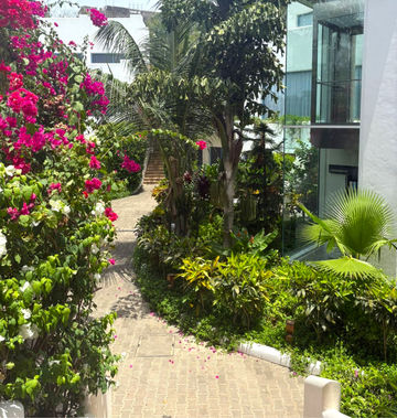 The Lead Hotel