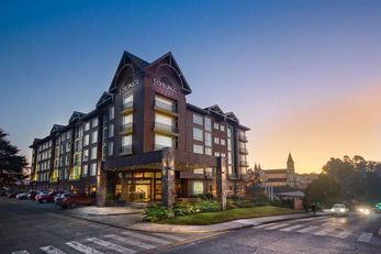 Hotel Solace
