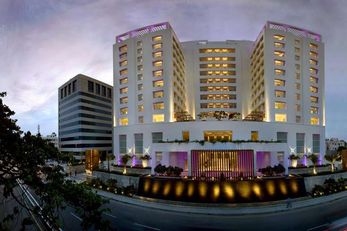 The Raintree