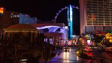 Flamingo Las Vegas- First Class Las Vegas, NV Hotels- GDS Reservation  Codes: Travel Weekly