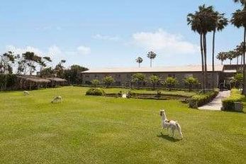 Wyndham Costa del Sol Trujillo