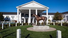 Campbell House Lexington, Curio Coll
