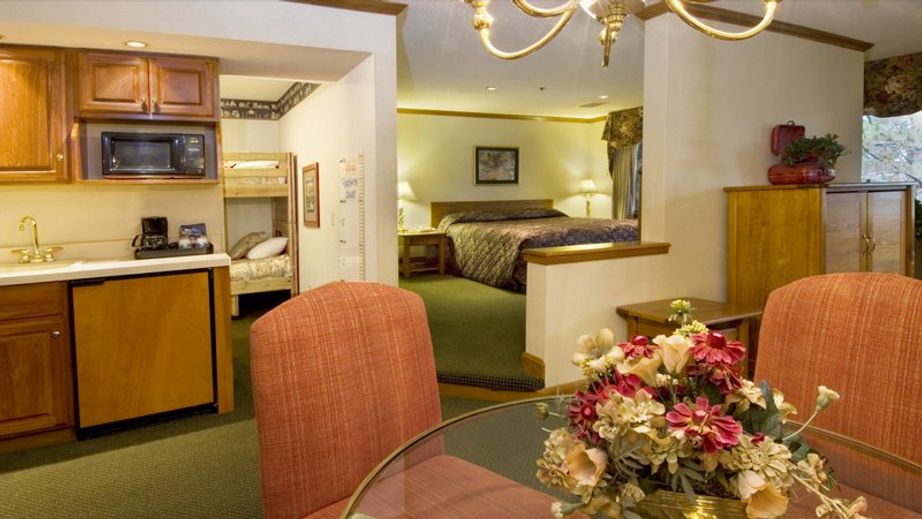 pet friendly hotels in adrian mi
