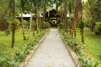 The Lodge & Spa at Pico Bonito