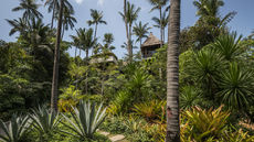 Four Seasons Koh Samui Resort