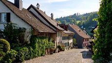 Hotel Krone Regensberg