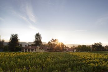 Napa Valley Lodge