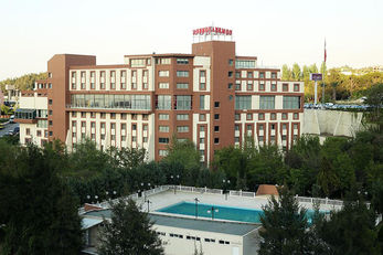 Anemon Manisa