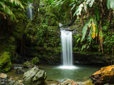 Discover Puerto Rico builds AI platform to connect travelers with local businesses