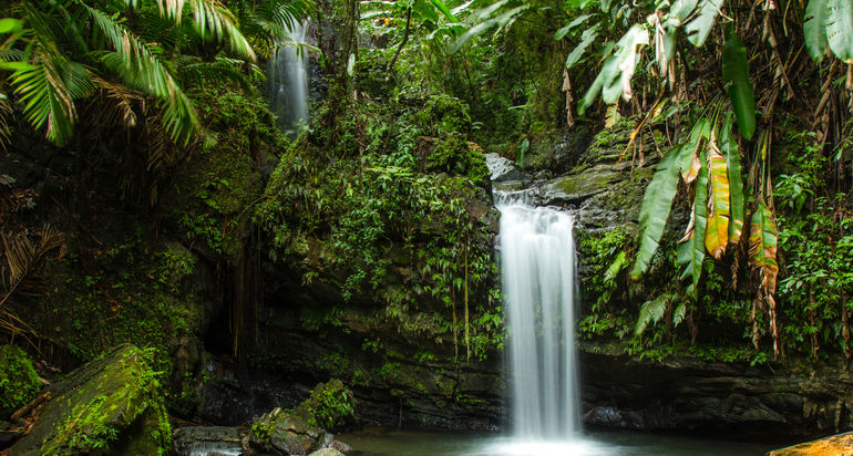 Discover Puerto Rico builds AI platform to connect travelers with local businesses