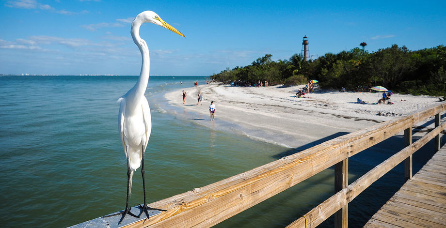 Gaze out at the Sanibel Island Lighthouse, which was built in 1884.