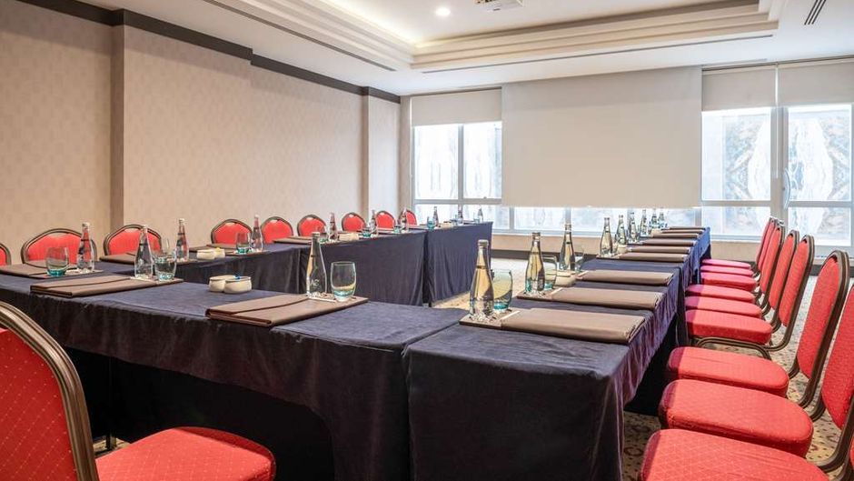Clarion Hotel Istanbul Mahmutbey Meeting