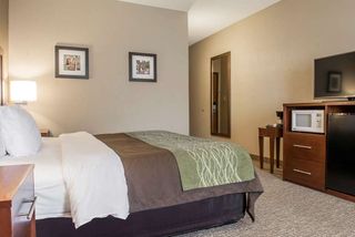 Comfort Inn Edinburg