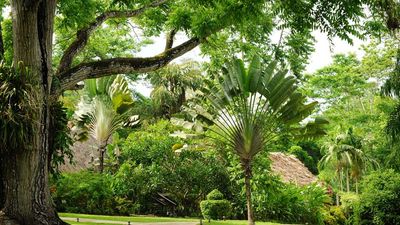 The Lodge Chaa Creek