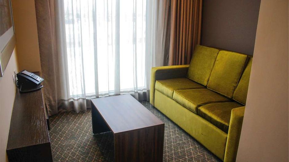 Hilton Garden Inn Aguascalientes Other