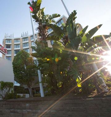 Rydges Camperdown