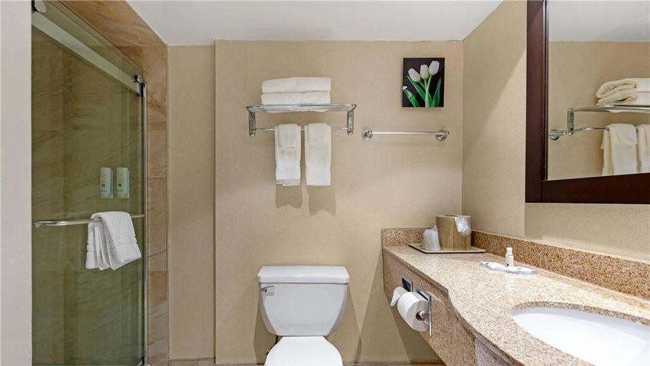 Quality Inn & Suites Brampton Room