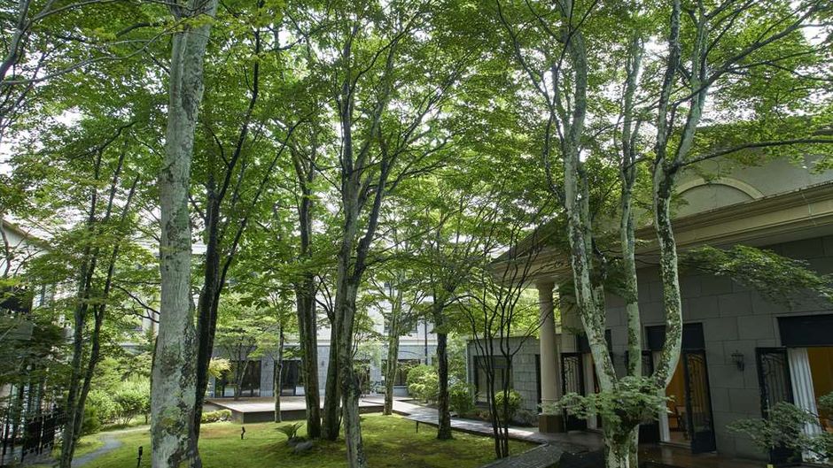 Kyukaruizawa Kikyo, Curio Collection Exterior