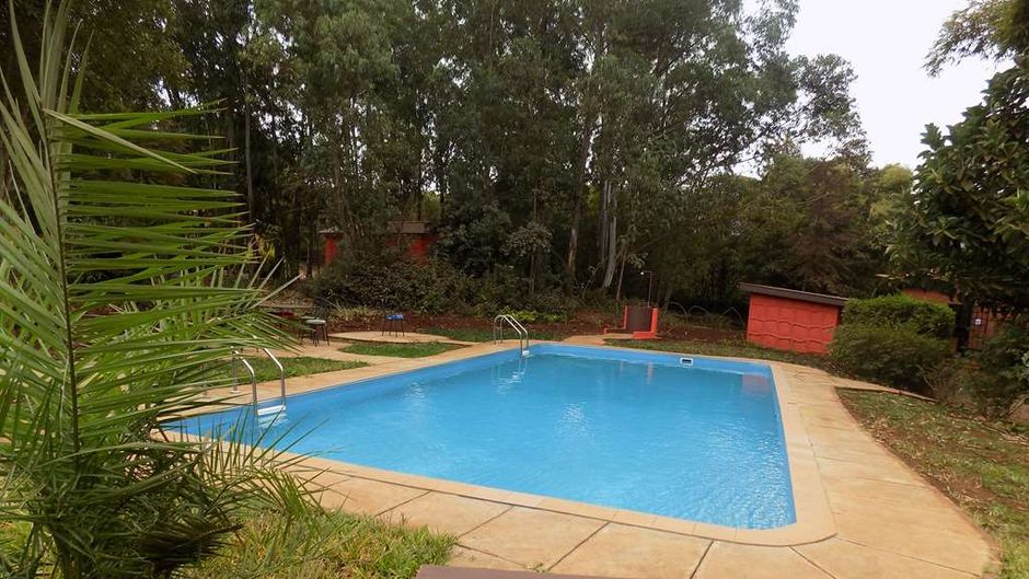 Octagon Lodge, Karatu Pool