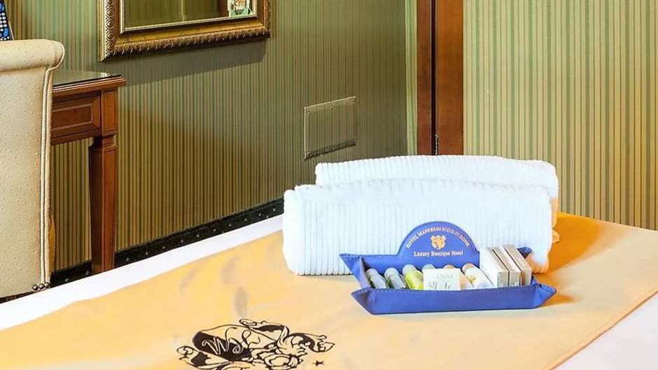 Hotel Manfredi Room
