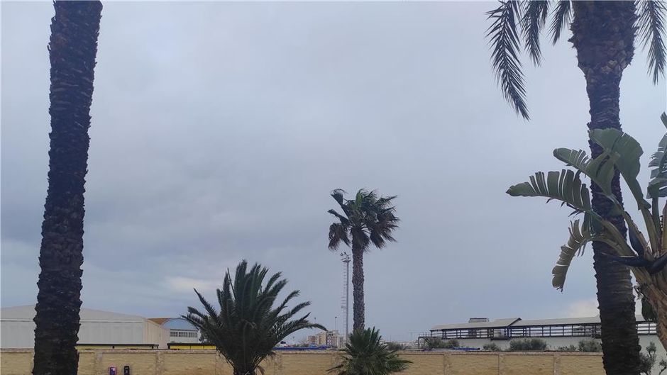 Best Western Hotel Nettuno Exterior