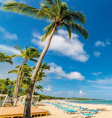 Emotions by Hodelpa Puerto Plata