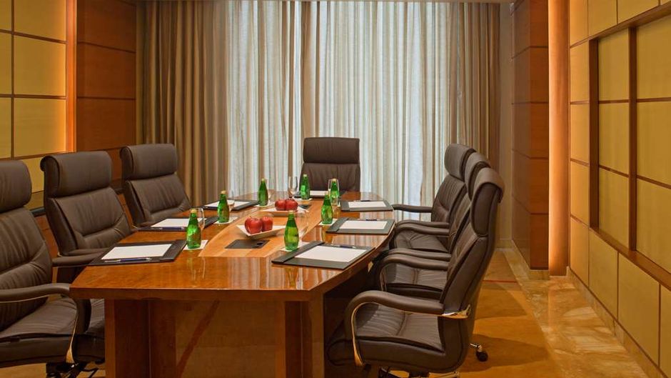 Radisson Blu Plaza Delhi Airport Meeting