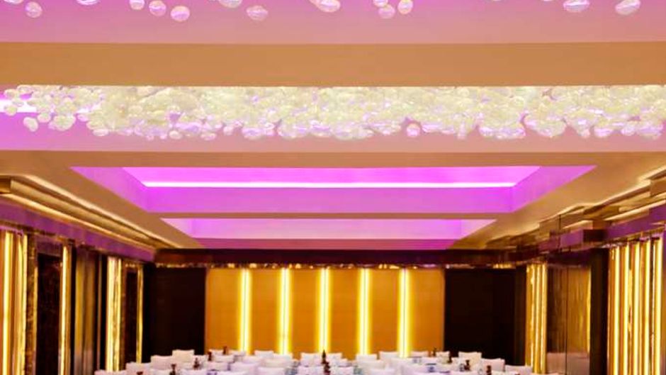 Radisson Blu Plaza Delhi Airport Ballroom