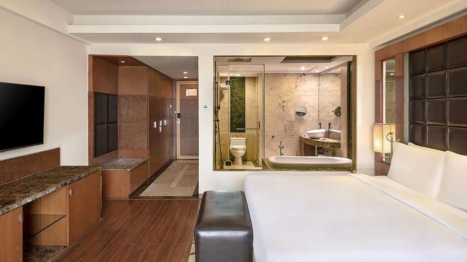 Radisson Blu Plaza Delhi Airport Other