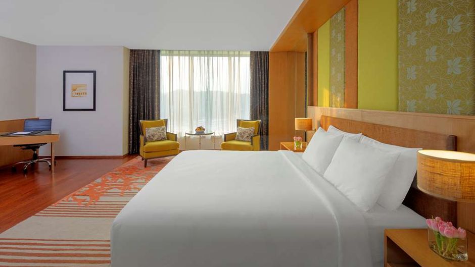 Radisson Blu Hotel Guwahati Suite