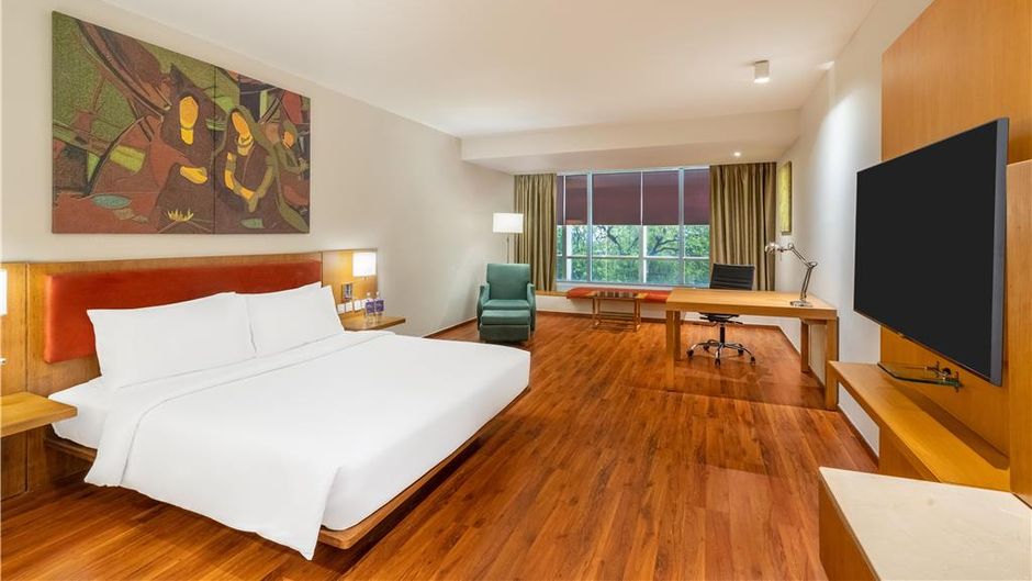 Radisson Blu Plaza Hotel Banjara Hills Room