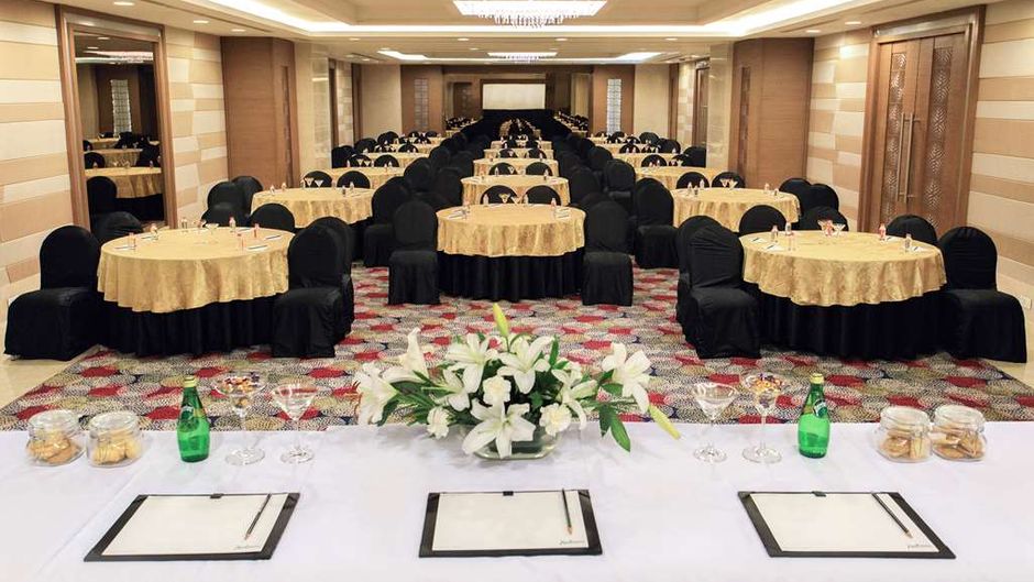 Radisson Udaipur Meeting