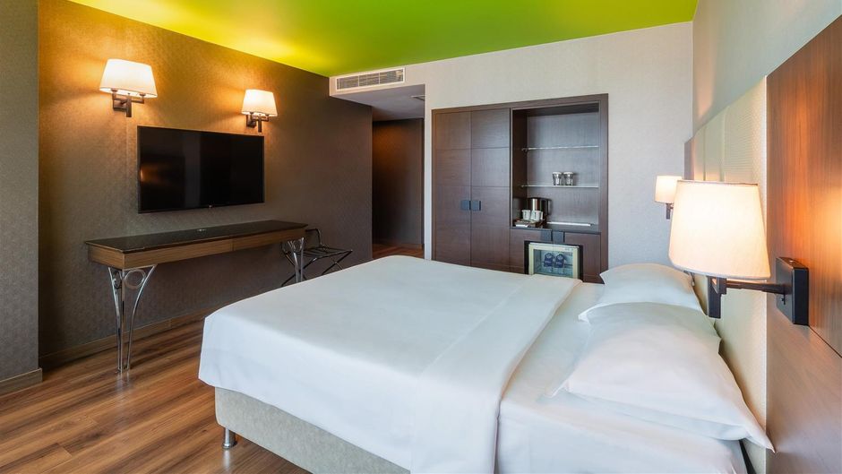 Park Inn Radisson Istanbul Asia Kavacik Room