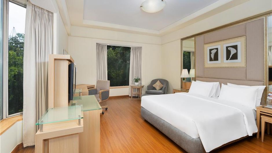 Park Plaza Gurgaon Room