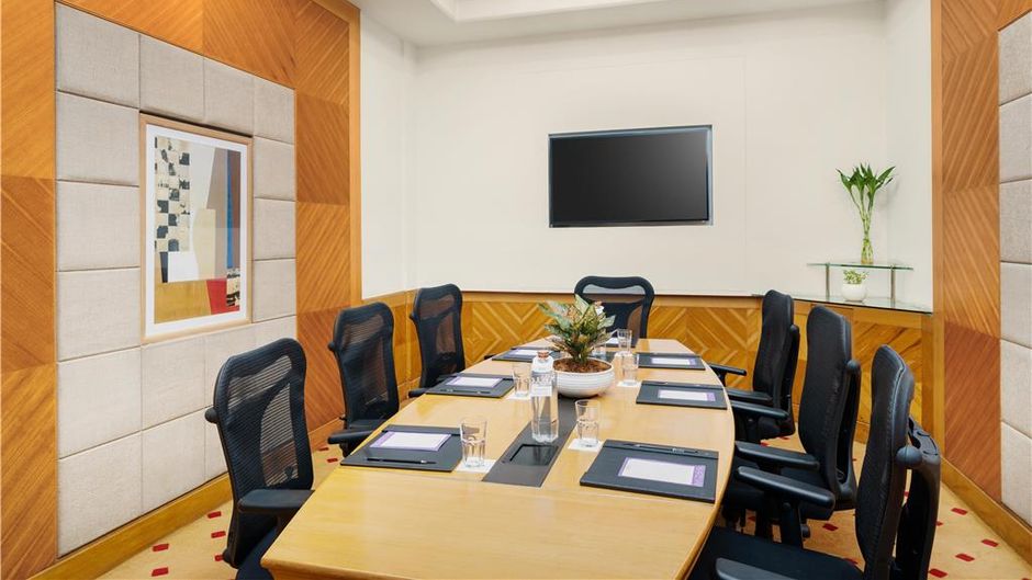 Park Plaza Gurgaon Meeting