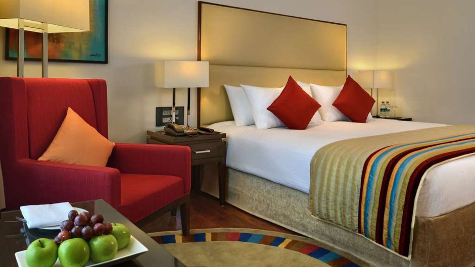 Park Plaza Zirakpur Room