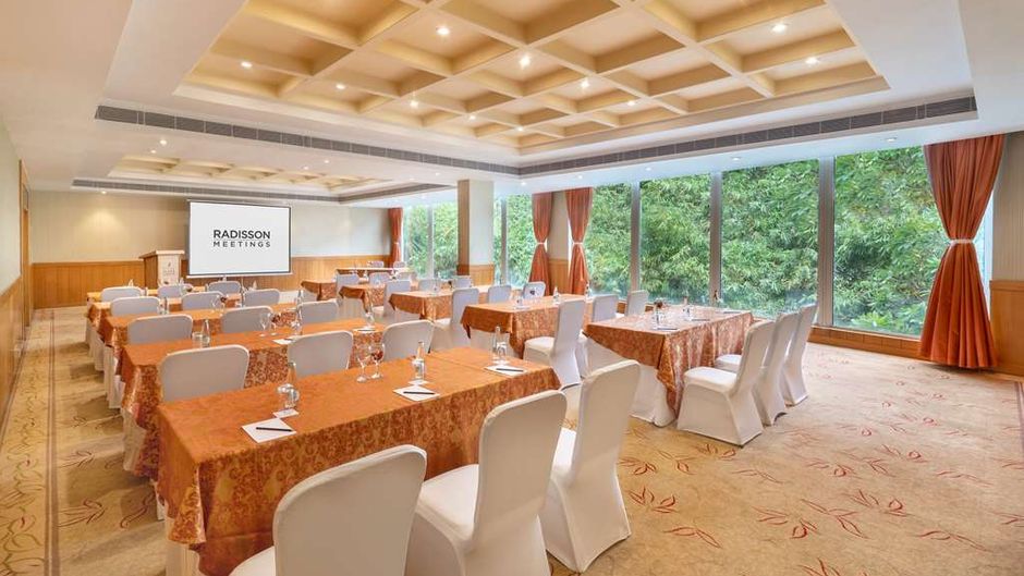 Park Plaza Chennai OMR Meeting