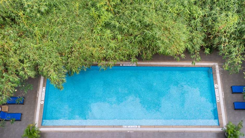 Park Plaza Chennai OMR Pool