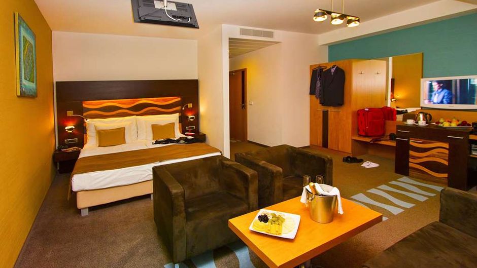 Hotel Danubia Gate Room