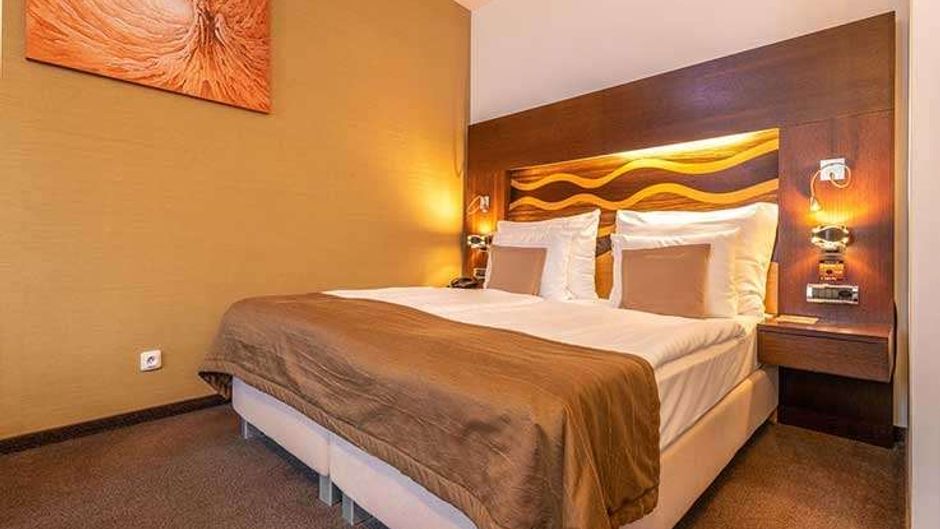 Hotel Danubia Gate Room