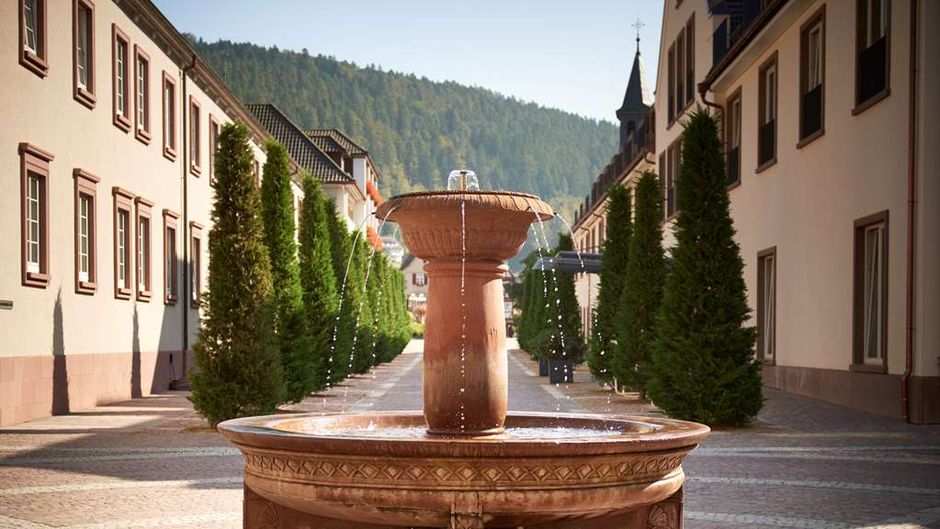 Hotel Therme Bad Teinach Exterior