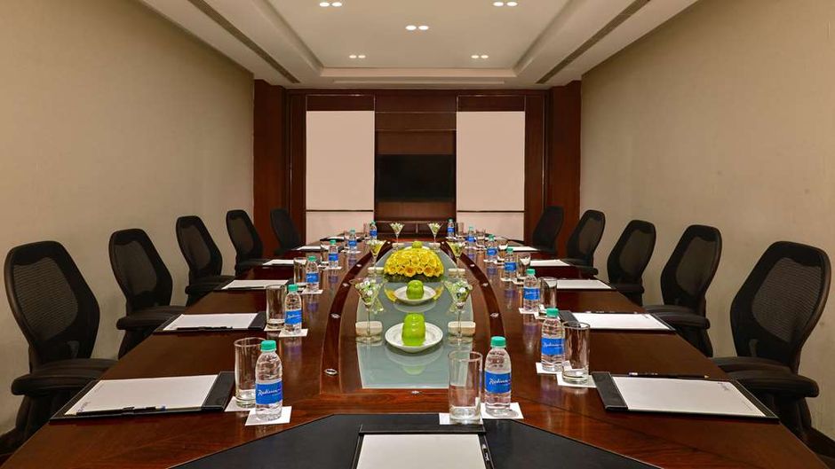 Radisson Blu Jaipur Meeting