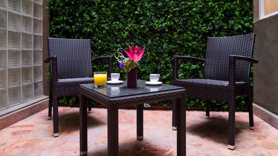 Dominion Polanco Other