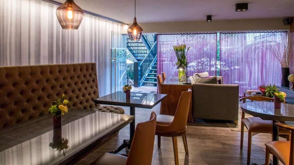 Dominion Polanco Other