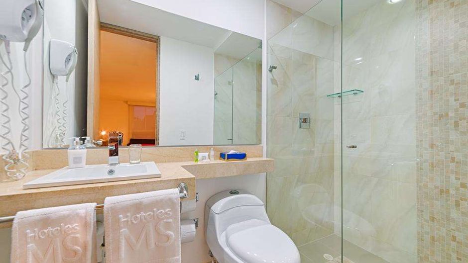 Hotel MS Ciudad Jardin-Plus Room
