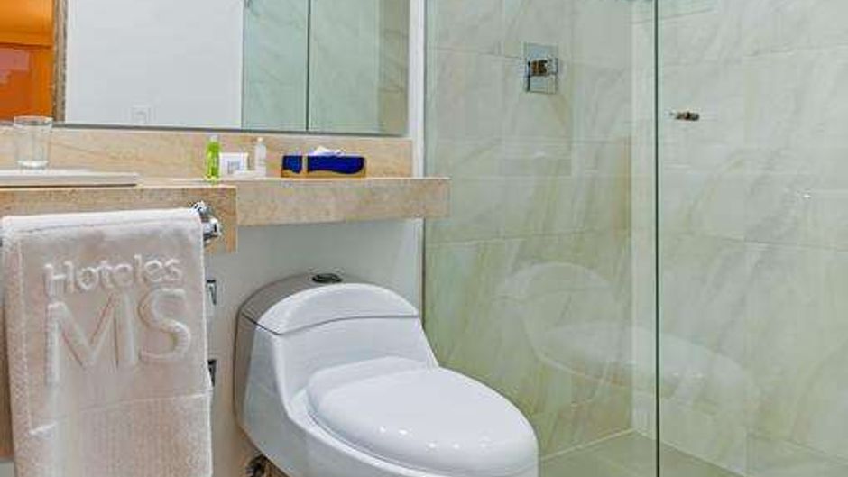 Hotel MS Ciudad Jardin-Plus Room